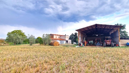 Foto Terreno agricolo a Viterbo Castel d'Asso - Tuscanese di 239 m²