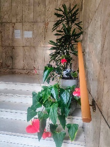 Foto Appartamento a Voghera Centro Storico di 135 m² con 6 locali
