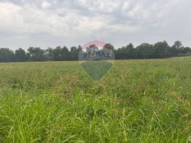 Foto Terreno agricolo in STRADA PROVINCIALE FRANCESCA, Cologno al Serio