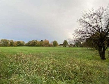 Foto Terreno agricolo in Via Castello, Cornate d'Adda di 16260 m²