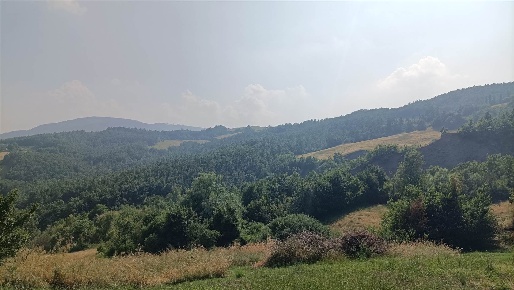 Foto Rustico in via Sparvo 14, Castiglione dei Pepoli di 546 m² in vendita