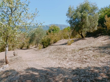 Foto Terreno agricolo a Fisciano Centro di 18000 m² in vendita