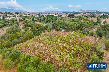 Foto Terreno residenziale in ZILIBRICCU, Telti di 1885 m² in vendita