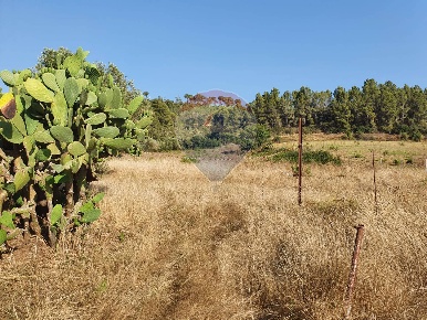 Foto Terreno agricolo in Contrada Molara, Caltagirone di 10000 m²