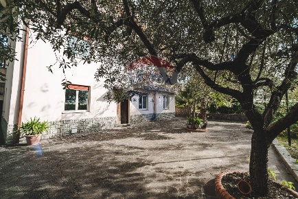 Foto Appartamento in Via Michelangelo Buonarroti, Guidonia Montecelio