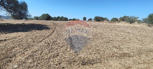 Foto Terreno agricolo in contrada ianche, Caltagirone di 6089 m² in vendita