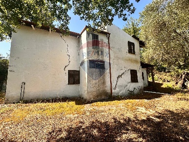 Foto Casa indipendente in Località Santa  Maria, Civitella d'Agliano Centro