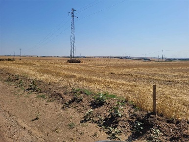 Foto Terreno agricolo in LOCALITA' SAN CARLO D'ASCOLI, Ascoli Satriano