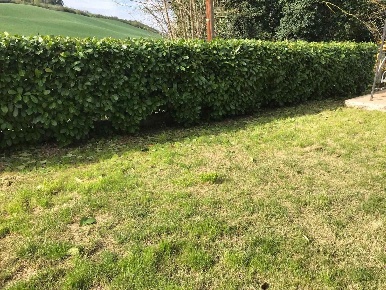 Foto Appartamento a Agugliano di 100 m² con 4 locali in vendita