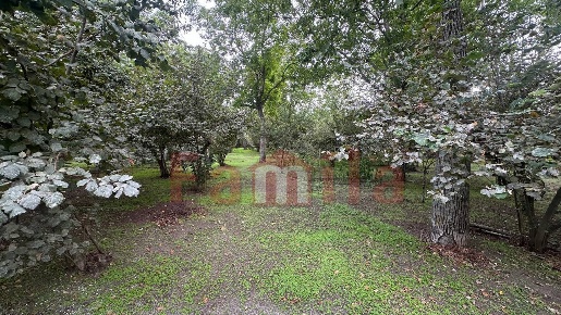 Foto Terreno residenziale a Sperone di 3000 m² in vendita