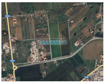 Foto Terreno agricolo a Cecina di 36000 m² in vendita