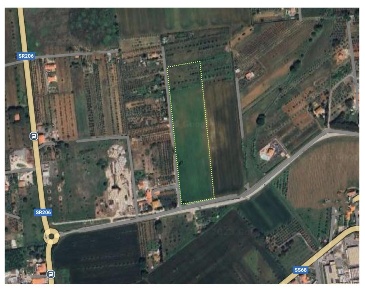 Foto Terreno agricolo a Cecina di 36000 m² in vendita