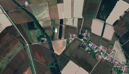 Foto Terreno agricolo a Travacò Siccomario di 8457 m² in vendita