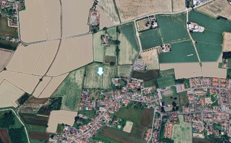 Foto Terreno agricolo a Travacò Siccomario in vendita