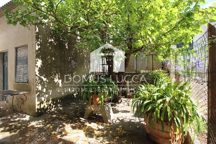 Foto Case semi ndipendenti a Lucca Santa Maria a Colle - Ponte San Pietro