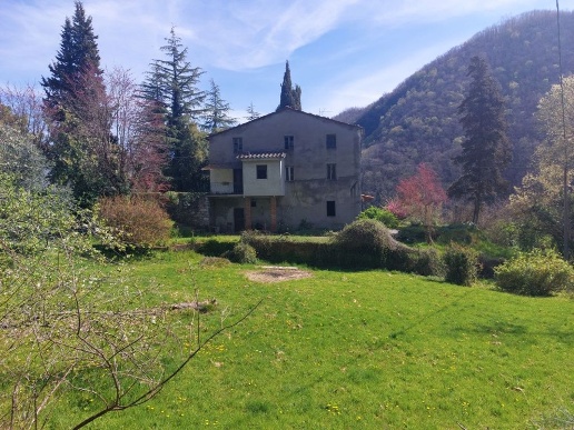 immagine annuncio 1 di 14