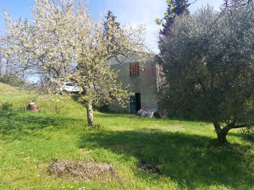 immagine annuncio 2 di 14