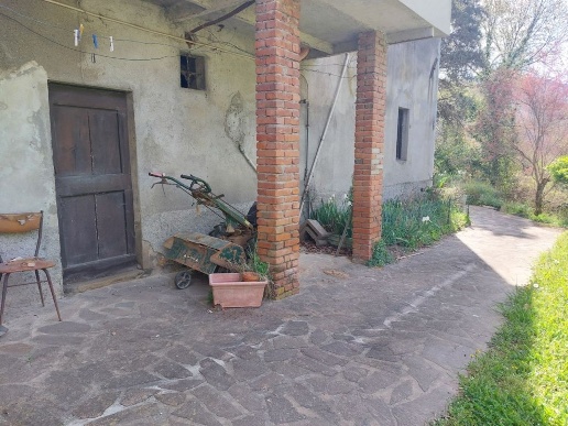 immagine annuncio 3 di 14