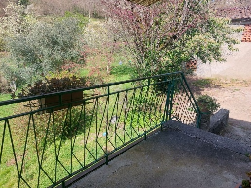 immagine annuncio 4 di 14