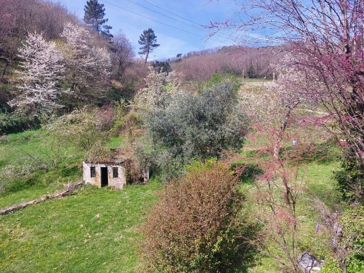 immagine annuncio 5 di 14