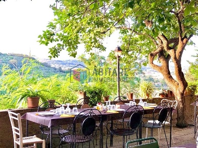 Foto Villa unifamiliare a Bibbona Centro di 300 m² con 12 locali in vendita