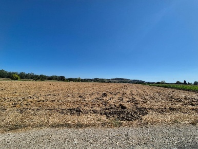 Foto Terreno agricolo a Fucecchio di 1500 m² in vendita