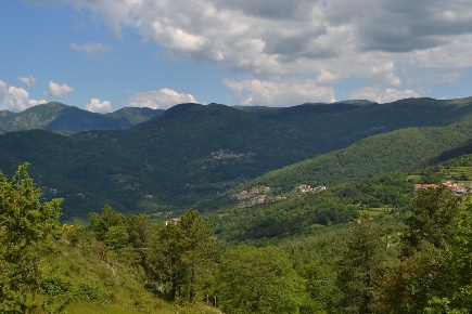 Foto Appartamento a Carro Ziona di 275 m² con 5 locali in vendita