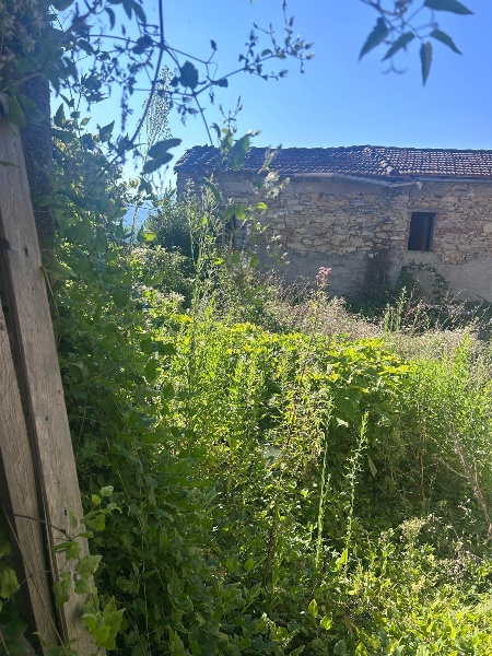 immagine annuncio 10 di 14