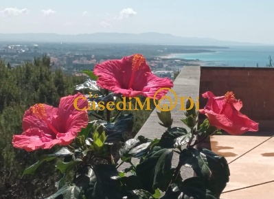 Foto Appartamento a Rosignano Marittimo Castiglioncello di 70 m² in affitto