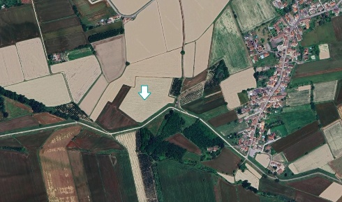 Foto Terreno agricolo a Travacò Siccomario di 27700 m² in vendita