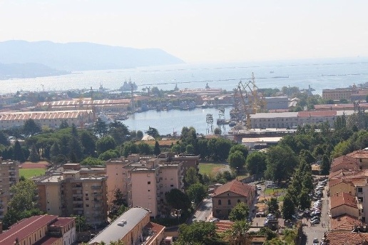 immagine annuncio 10 di 15