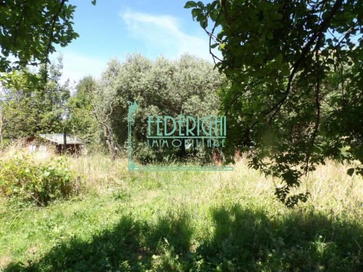 immagine annuncio 7 di 14