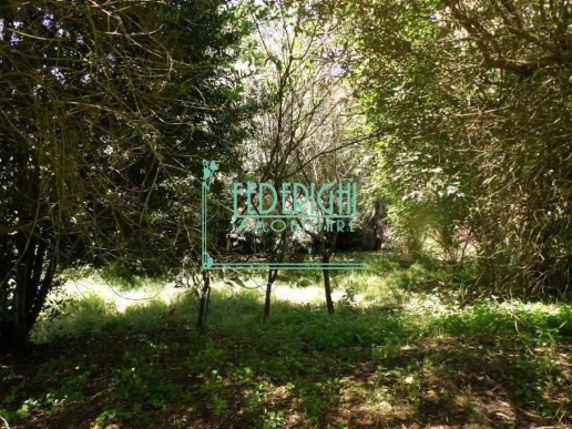 immagine annuncio 8 di 14