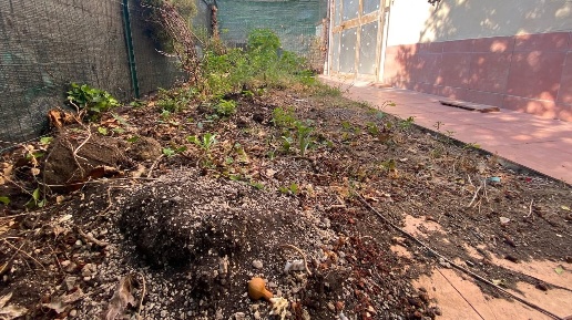 Foto Appartamento a Montelupo Fiorentino di 60 m² con 3 locali in vendita