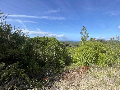 Foto Terreno agricolo a Rosignano Marittimo Chioma, Nibbiaia di 30000 m²