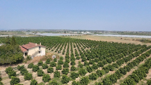 Foto Terreno agricolo a Policoro di 40874 m² in vendita
