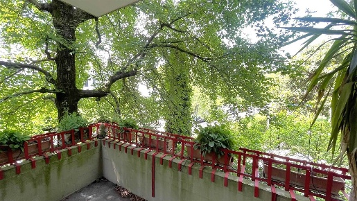 Foto Appartamento a Padova Città Giardino di 208 m² con 11 locali