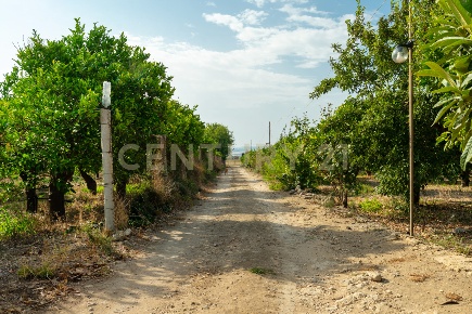Foto Terreno agricolo in Strada Statale 194, Carlentini di 3 m² in vendita