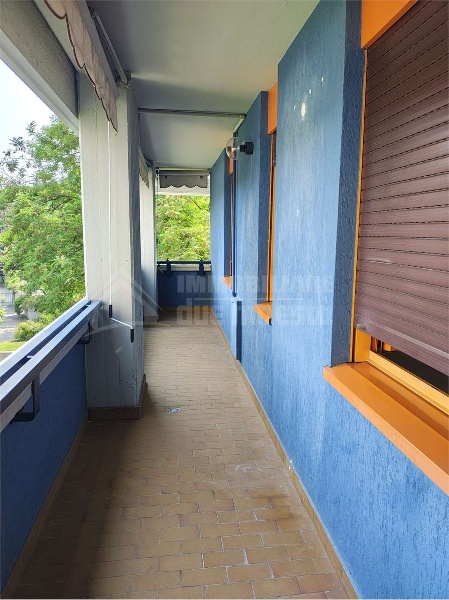 immagine annuncio 4 di 12