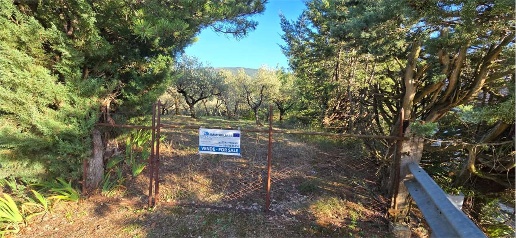 Foto Terreno agricolo a Gualdo Cattaneo di 6000 m² in vendita