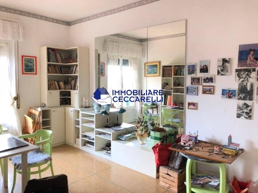 immagine annuncio 5 di 14