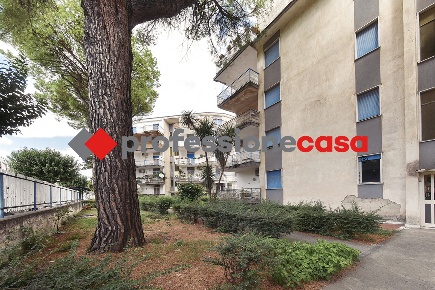 Foto Appartamento in Via Leonardo Da Vinci 166, San Nicola la Strada