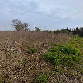 Foto Terreno agricolo in Via ADRIA LocalitÃ  Capitello 0, Adria Centro
