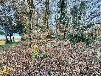 Foto Terreno agricolo in via delle Querce, Venezia Marghera - Catene