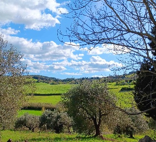 Foto Struttura sanitaria a Rosignano Marittimo Rosignano Marittimo Paese