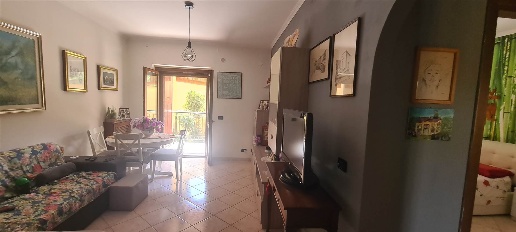 immagine annuncio 6 di 12