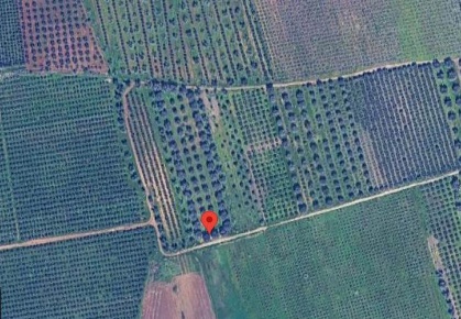Foto Terreno agricolo a Brindisi Montenegro di 8467 m² in vendita