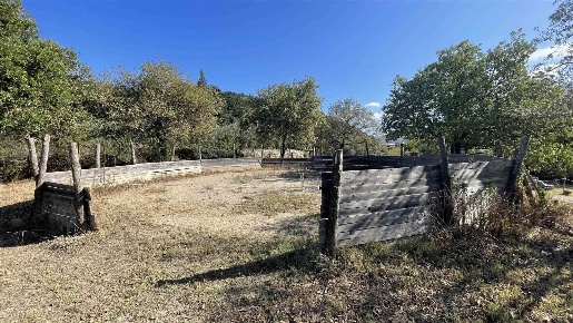 Foto Struttura sanitaria a Calenzano di 800 m² con 1 locali in vendita
