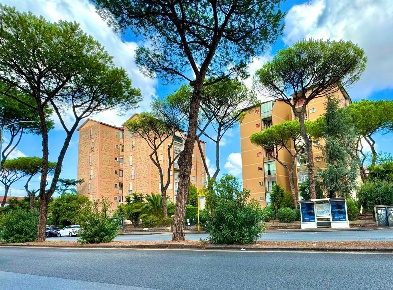 Foto Appartamento in dei Romanisti, Roma Alessandrino - Torre Spaccata