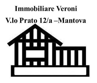 Foto Terreno edificabile a Mantova di 5000 m² in vendita